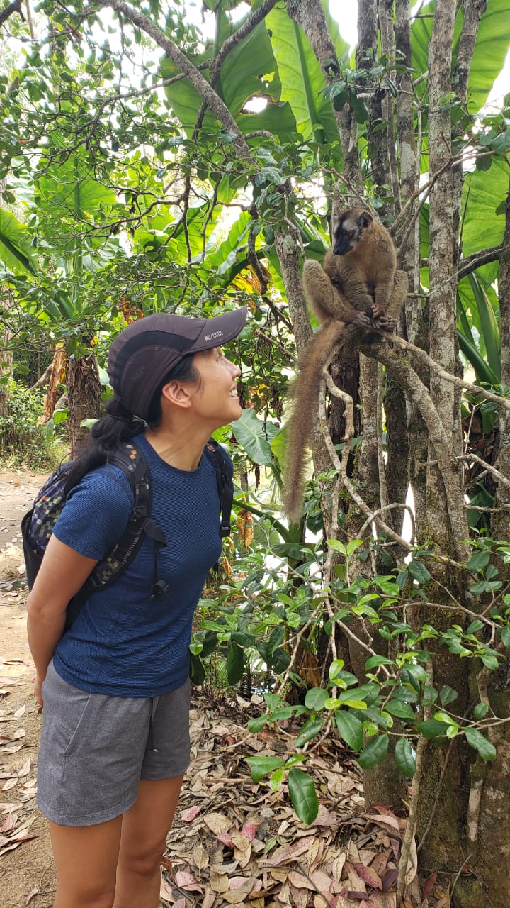 6-Day Wildlife and Nature Andasibe & Palmarium